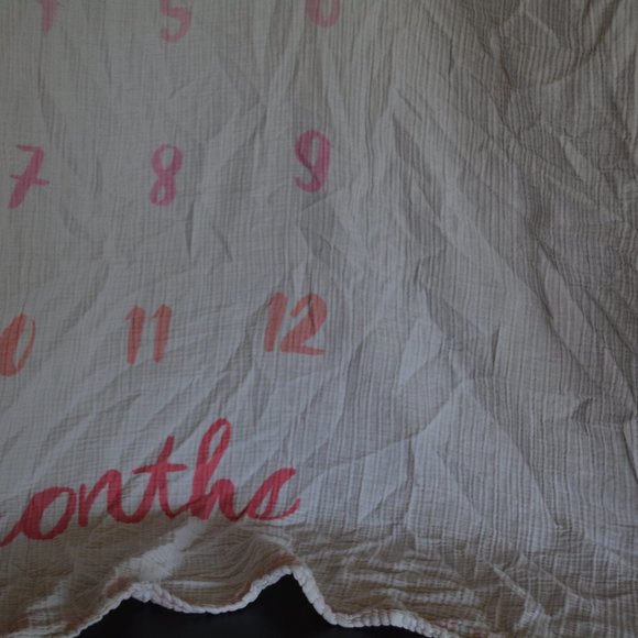 Cloud Island Pink Baby Monthly Milestones Photography Backdrop Muslin Blanket - Picture 2 of 7